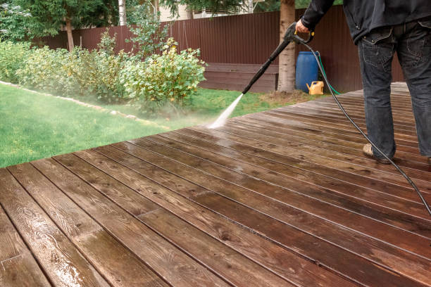 Best Driveway Pressure Washing  in Spring Park, MN