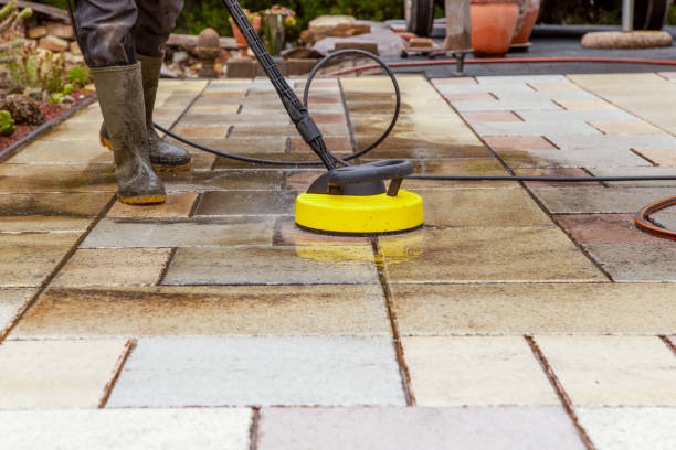 Best Driveway Pressure Washing  in Spring Park, MN